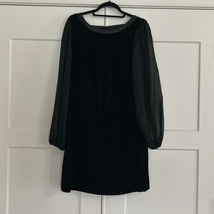 White House Black Market little black velvet dress